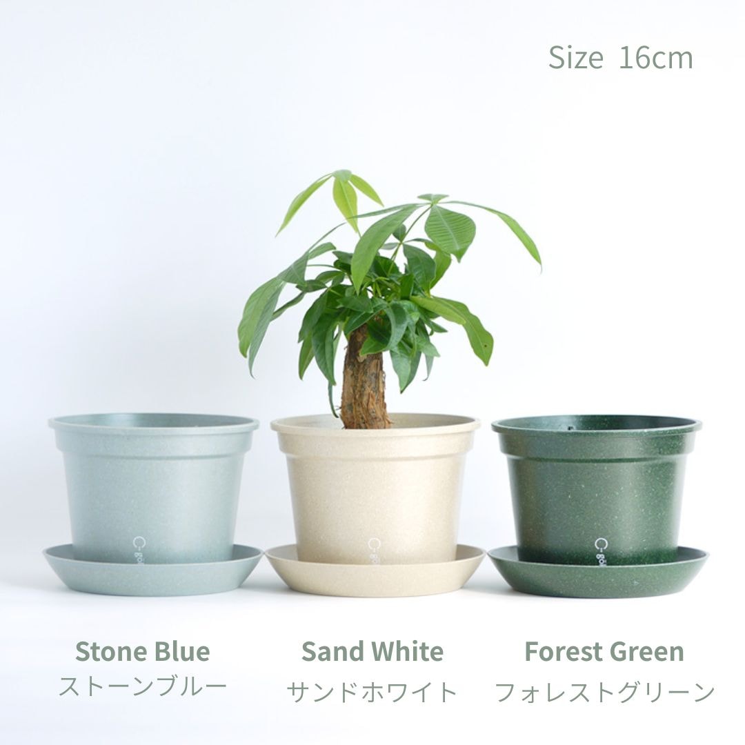 Wexthuset Japan Online Store